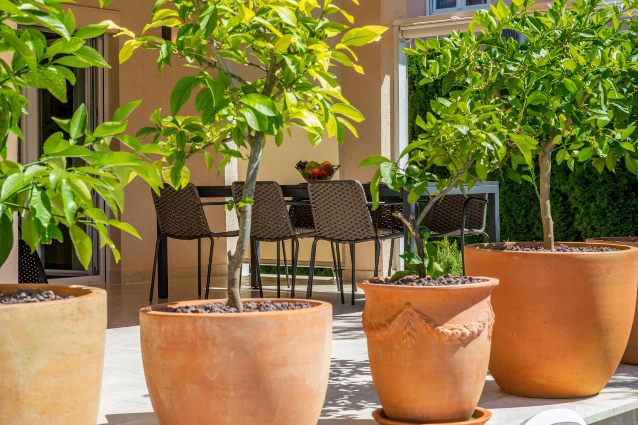 הוילה Casa Mateo רוביני מראה חיצוני תמונה